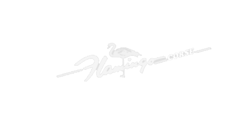 Flamingo Corse - elaborazioni auto